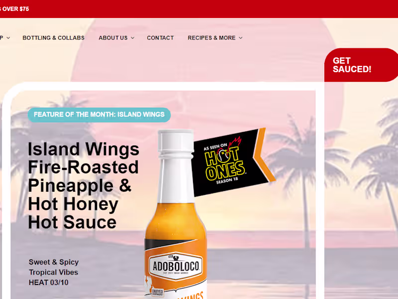 Cover image for wordpress website design | elementor | landing page