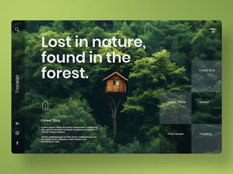 Cover image for Lost in nature, found in