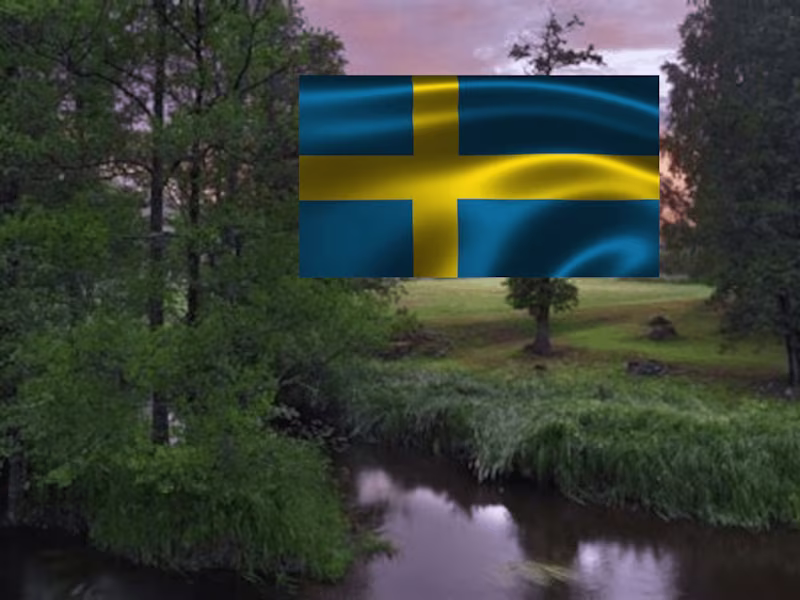 Cover image for Proofreading and editing of translated documents and websites