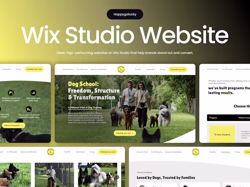 Cover image for Website Design & Strategy for Training-Based Dog Boarding