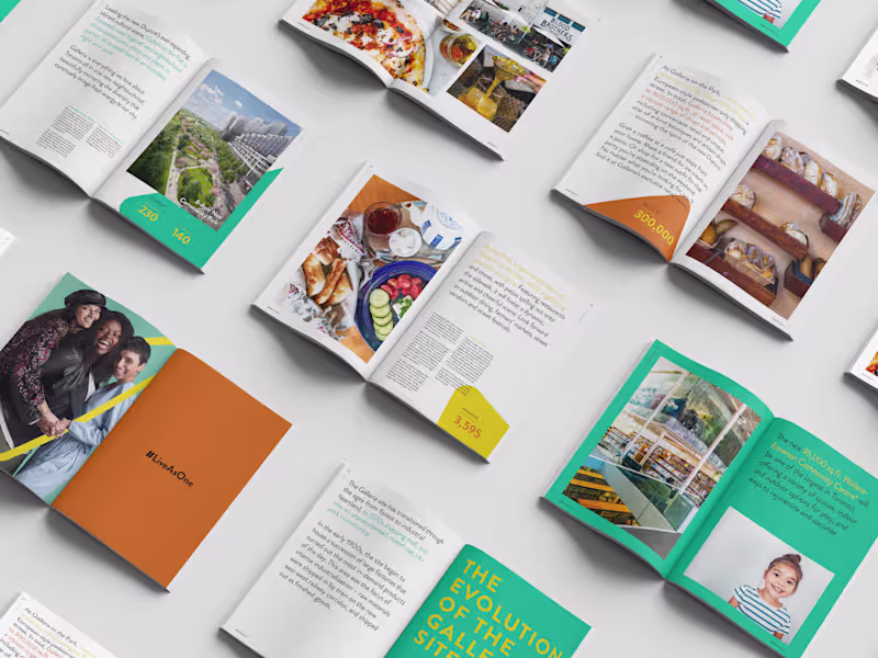 Cover image for Galleria - Identity Development