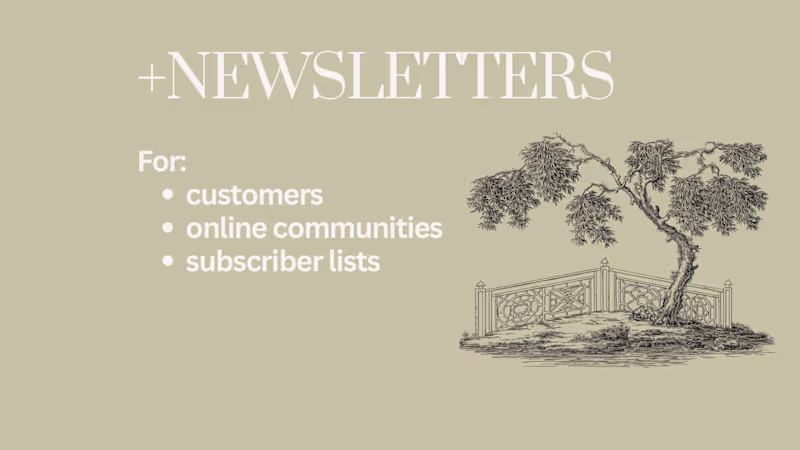 Cover image for Brand Newsletters 