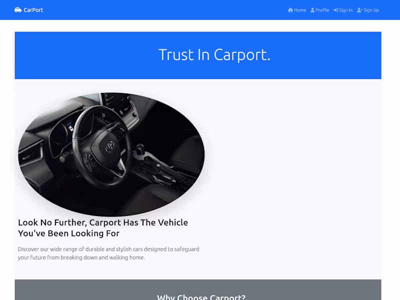 Cover image for Company Web Site