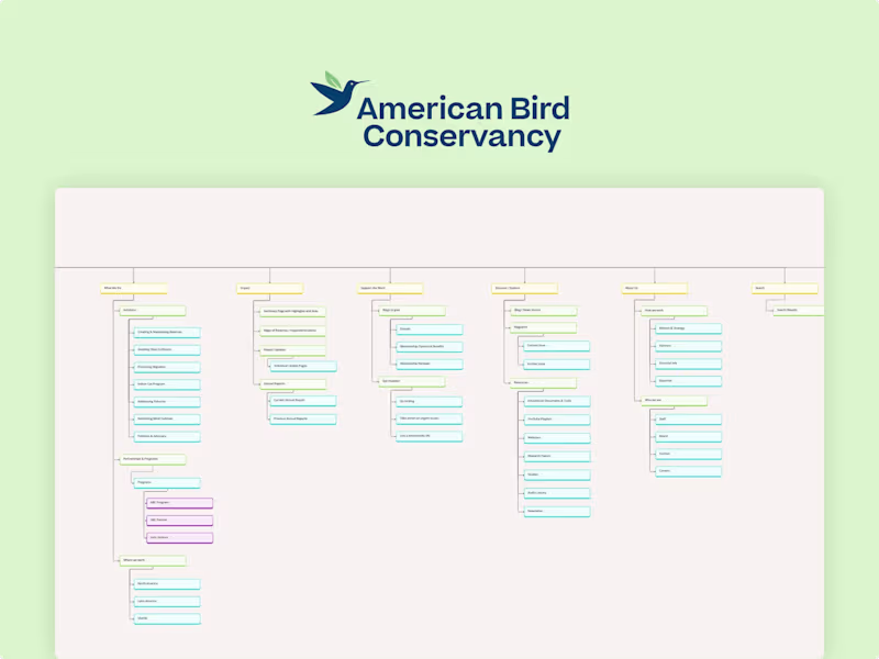 Cover image for American Bird Conservancy (UX Research)