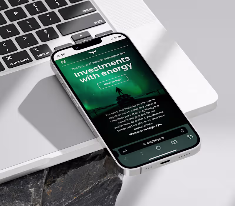 Cover image for Eagle Eye — Website Development