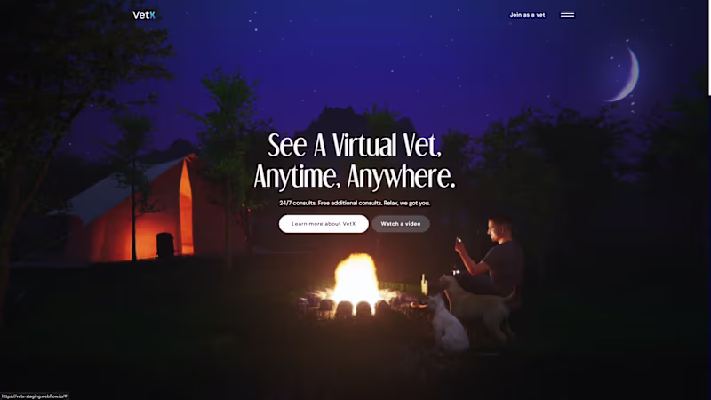 Cover image for VetX
