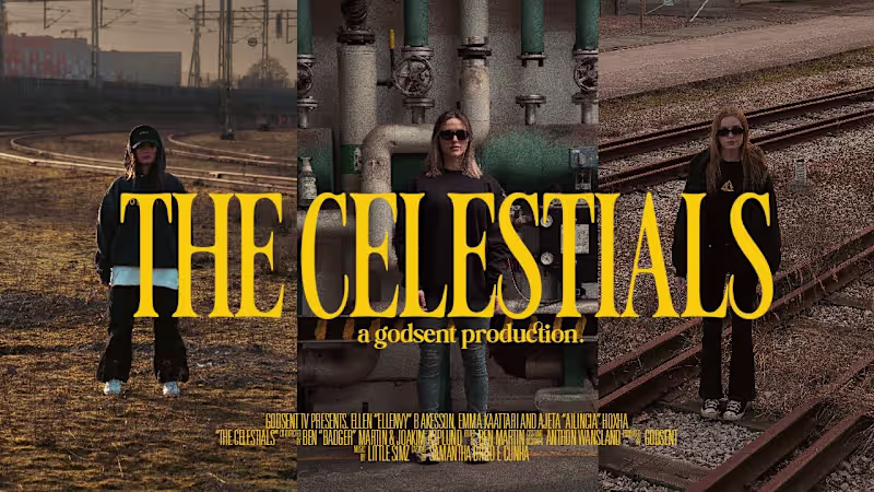 Cover image for THE CELESTIALS