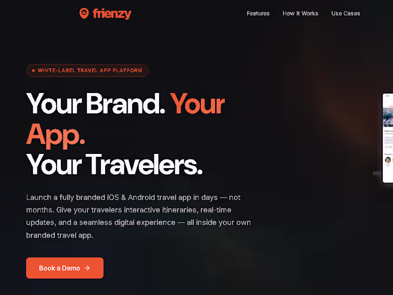 Cover image for Frienzy Development