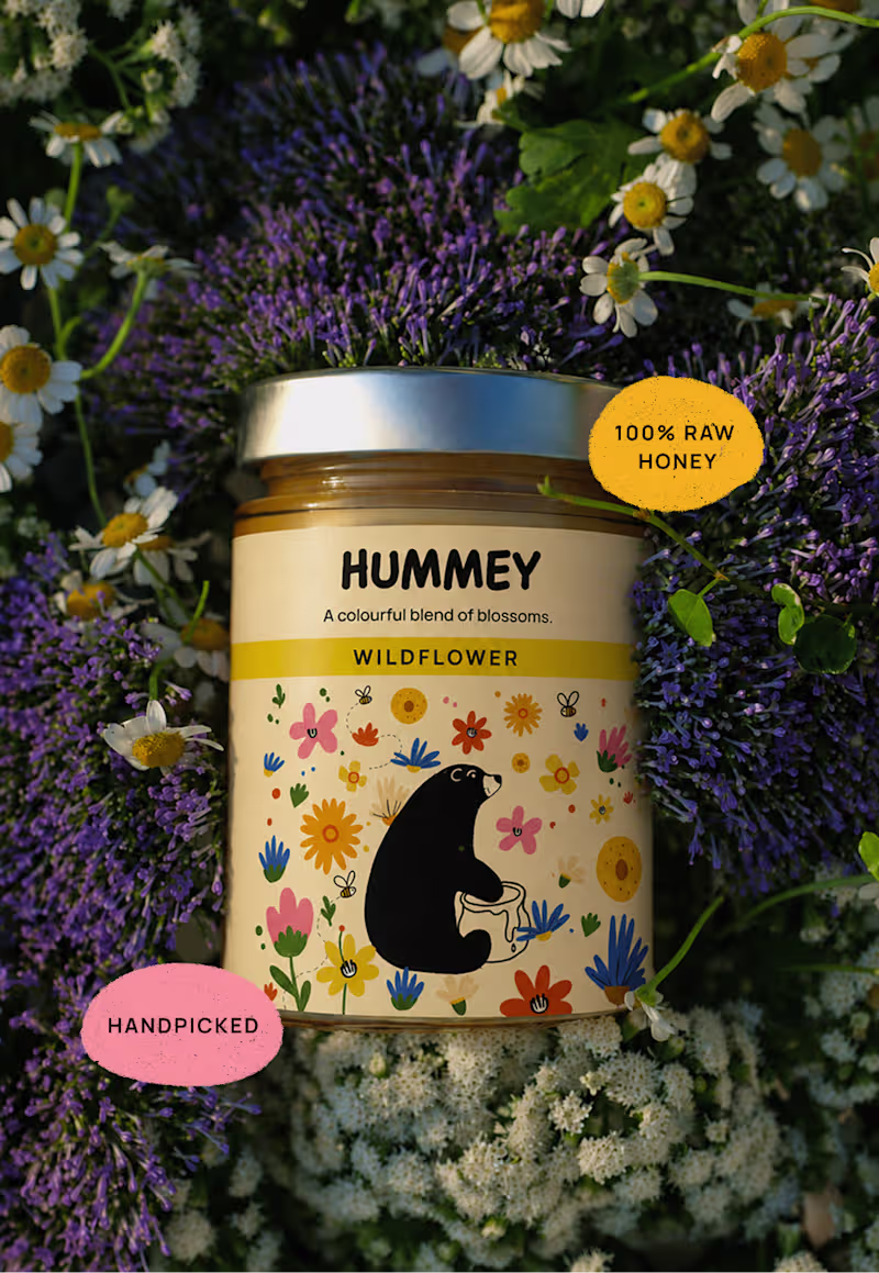 Cover image for HUMMEY 🍯🐝
Hummey is a honey