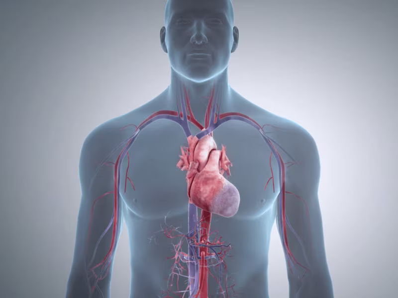 Cover image for 3D Medical Video - Complete 3D Production