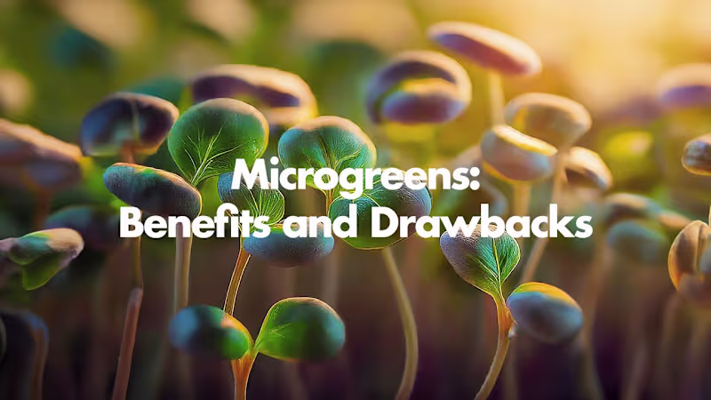 Cover image for AI Video Production: The Benefits and Drawbacks of Microgreens