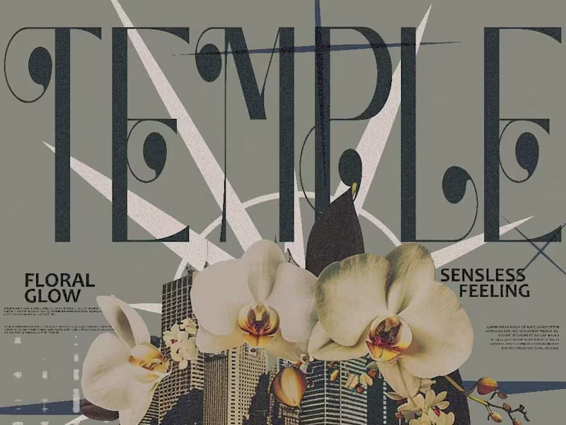 Cover image for Budget-Friendly Editing
