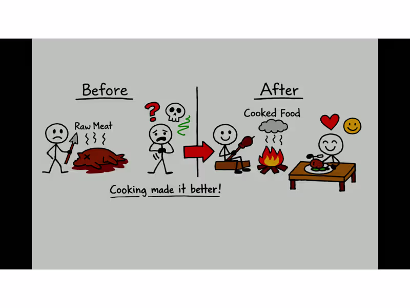 Cover image for How Humans Learned to Control Fire - Visual Explainer