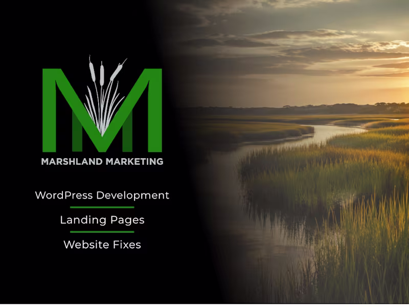 Cover image for WordPress Website Design & Development