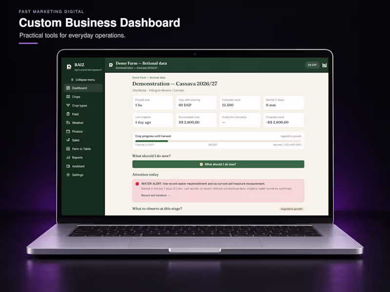 Cover image for Custom Business Dashboard