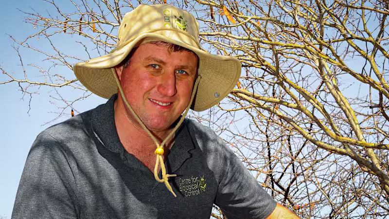 Cover image for Zoology and Entomology delve deep into the biological control o…