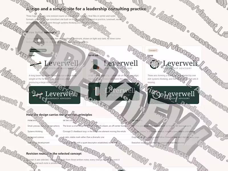 Cover image for Consultant logo concepts and five-page site