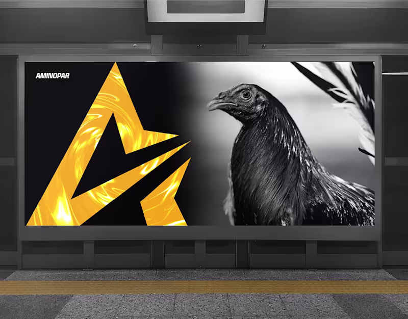 Cover image for Aminopar | Packaging Design
