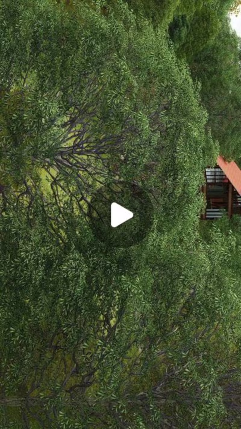 Cover image for connatearchitects on Instagram: ”#nature #architecture #archite…