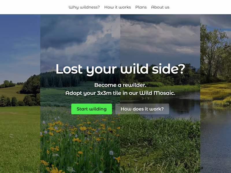Cover image for Wild Mosaic 