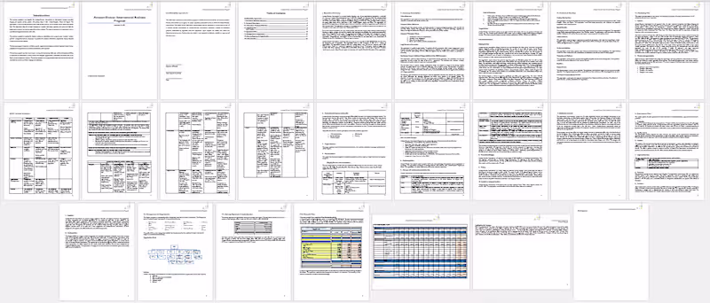 Cover image for Management Report