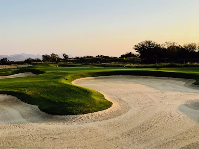 Cover image for Cause and Effect Golf