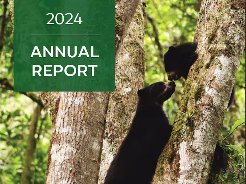Cover image for Bear Conservation Data Analysis