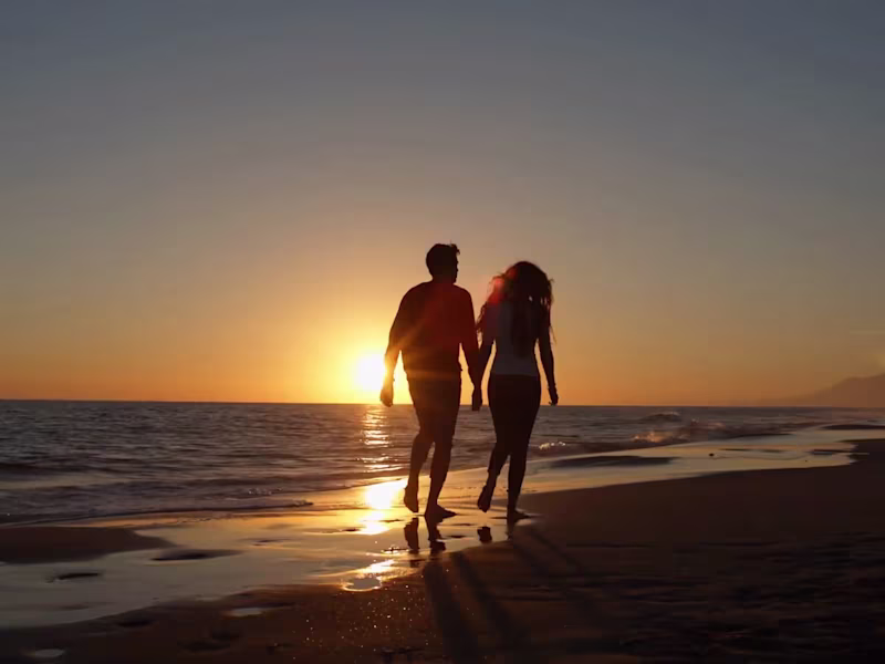 Cover image for Professional video editor