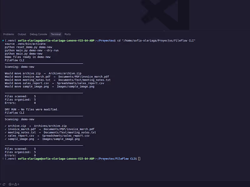Cover image for Custom Python Automation & Scripts