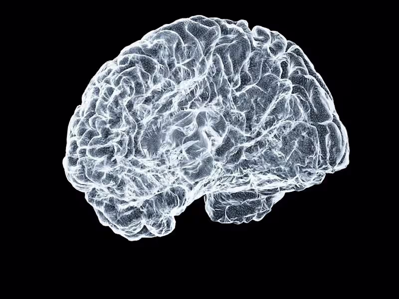 Cover image for *AI - AI.