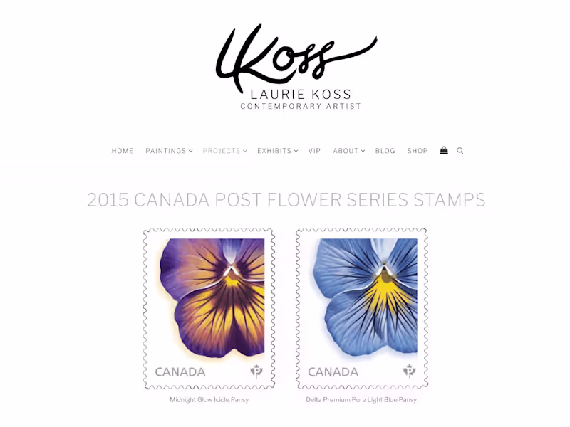 Cover image for Laurie Koss SEO Project