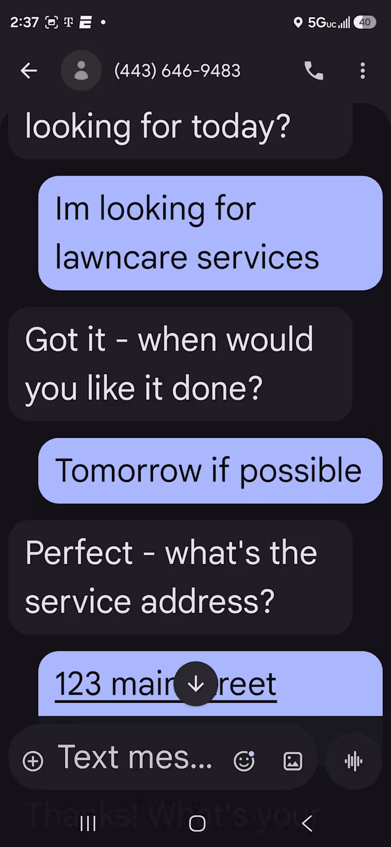 Cover image for My chatbot in action