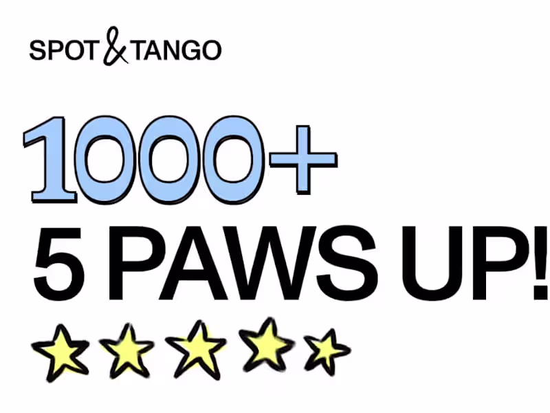 Cover image for Email & Lifecycle Marketing - Spot & Tango