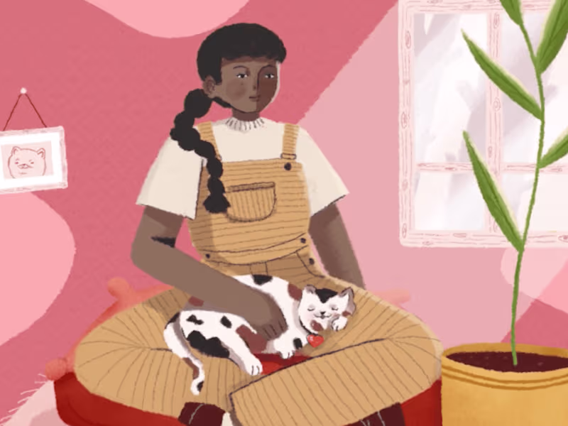 Cover image for Pintuco, the color of the diversity