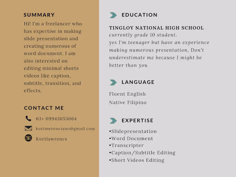 Cover image for Professional Presentation Designer 