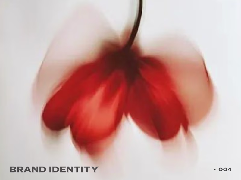 Cover image for Mini Brand — Brand Identity Package