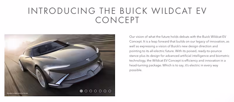 Cover image for Lead writer for Buick.com