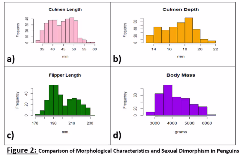 Cover image for Statistical Replication & Data Analysis