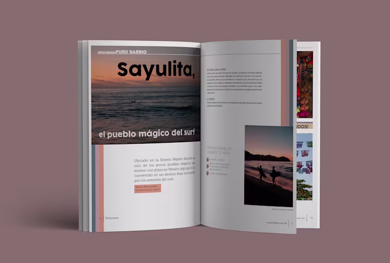 Cover image for Mexiconario - chulea tu país