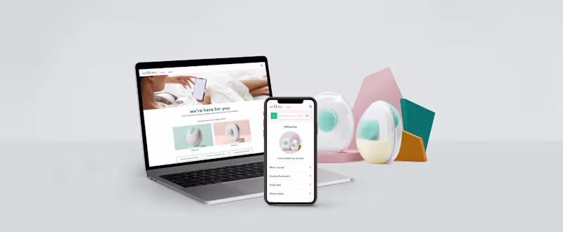 Cover image for Case Study: Willow Help Center Website