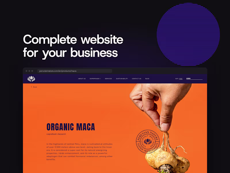 Cover image for Complete website for your business