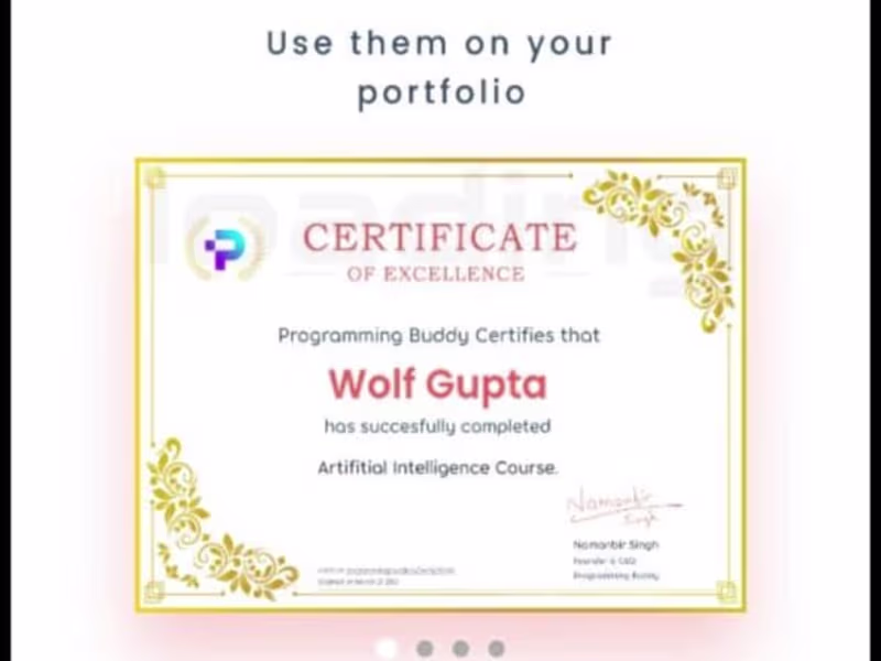 Cover image for Programming Buddy