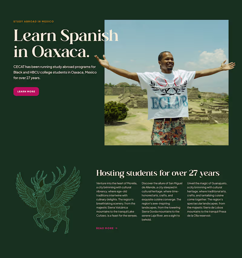Cover image for Working on the visual design
