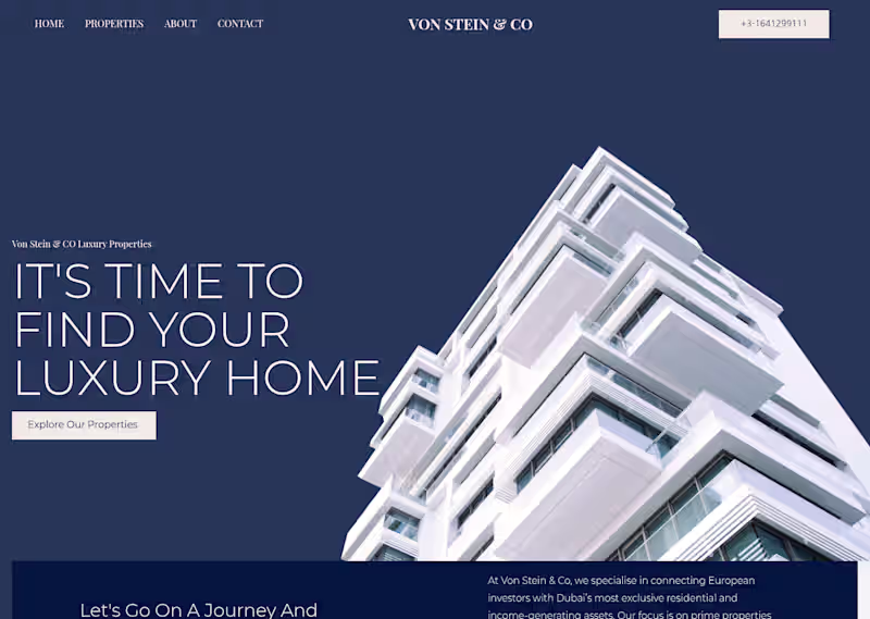 Cover image for Von Stein & Co is