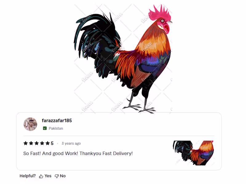 Cover image for Professional Vector Illustration & Graphic
