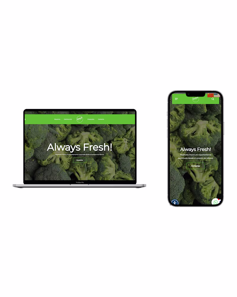 Cover image for Redesigned and optimized the website