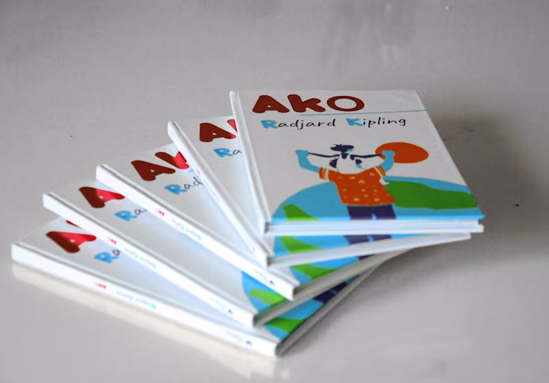 Cover image for Pocket book illustrations 