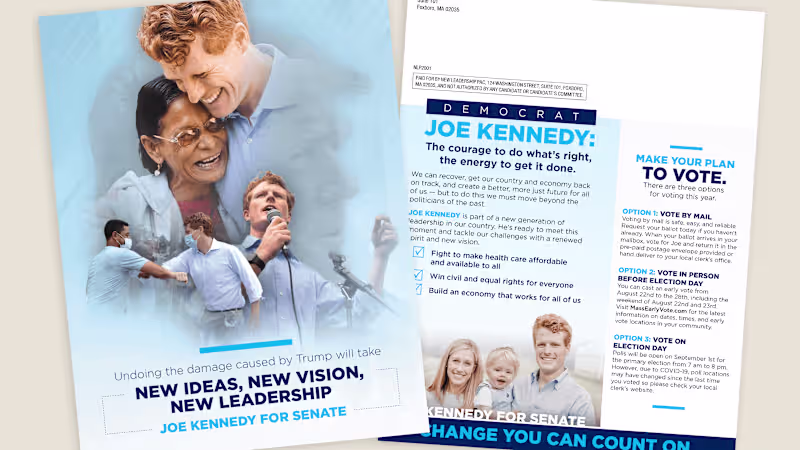 Cover image for Political Direct Mail