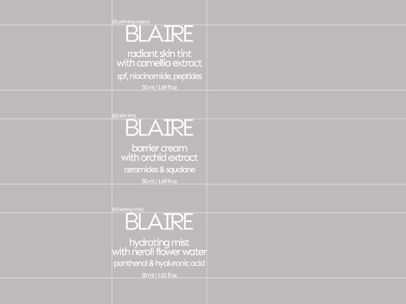 Cover image for Part 2 of BLAIRE focuses