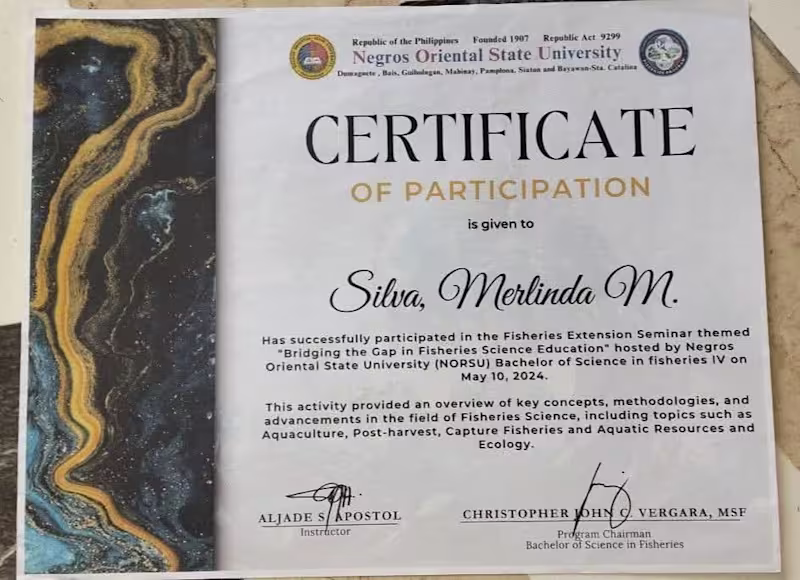 Cover image for Certificate of Participation : Bridging